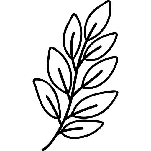 flower_5025202
