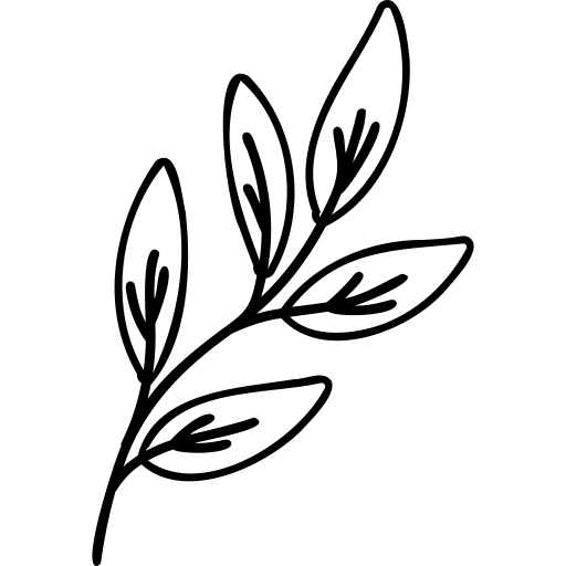 leaf_5025200